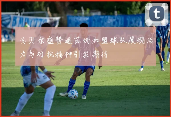 戈贝尔盛赞道苏姆加盟球队展现活力与对抗精神引发期待