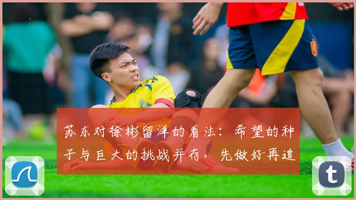 苏东对徐彬留洋的看法：希望的种子与巨大的挑战并存，先做好再追求完美