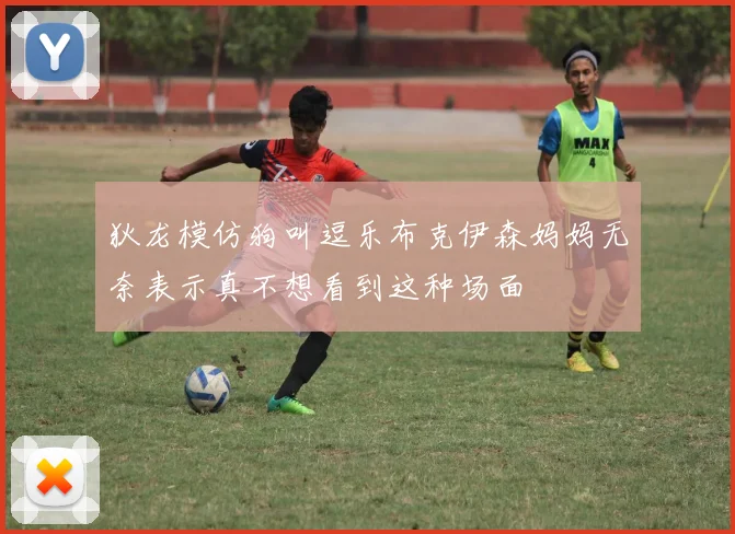 狄龙模仿狗叫逗乐布克伊森妈妈无奈表示真不想看到这种场面